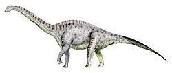 Tastavinsaurus Tastavinsaurus Wikipedia la enciclopedia libre