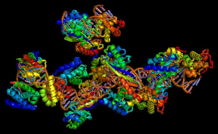 TATA-binding protein
