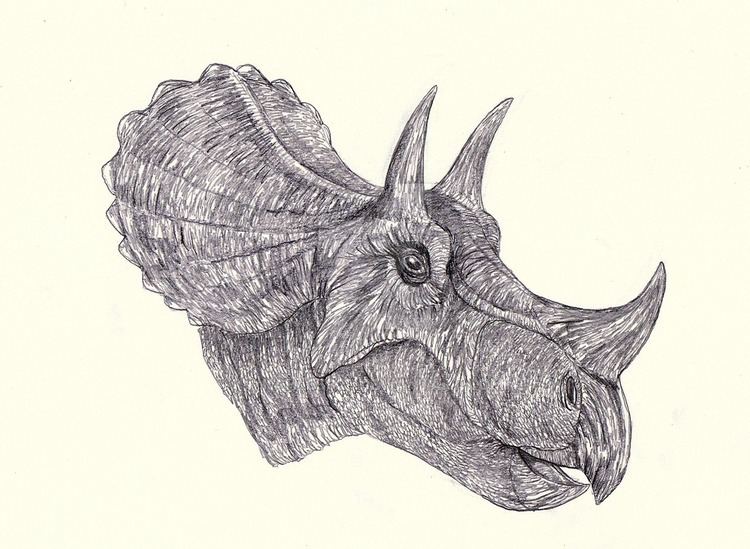 Tatankaceratops Tatankaceratops Triceratops by Kahless28 on DeviantArt