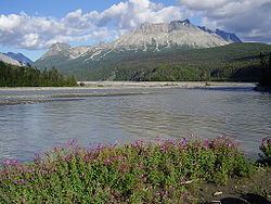 Tatshenshini River httpsuploadwikimediaorgwikipediacommonsthu