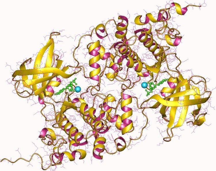 Tau-protein kinase