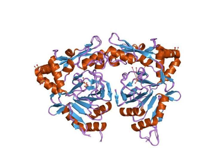 TauD protein domain