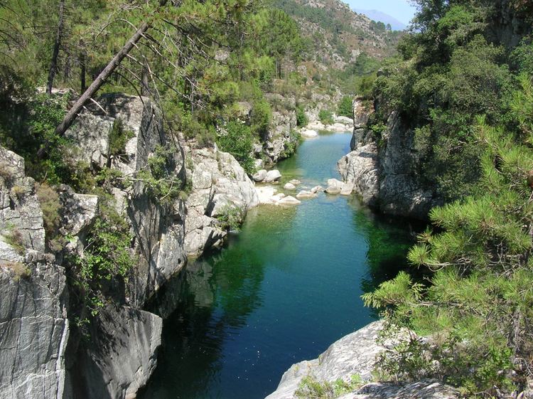 Tavignano Baignade dans la valle du Tavignano