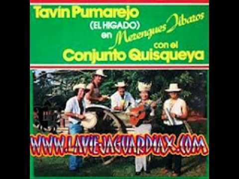 Tavin Pumarejo Conjunto Quisqueya y Tavin Pumarejo La Finquita YouTube