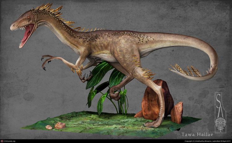 Tawa (dinosaur) Tawa Hallae by Siddhartha Ahearne 3D CGSociety
