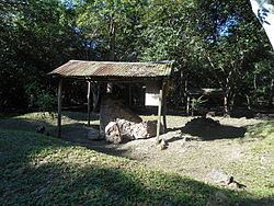 Tayasal (archaeological site) httpsuploadwikimediaorgwikipediacommonsthu