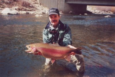 Taylor River (Colorado) wwwcoloradofishingnetimagesfishtailsfttaylor