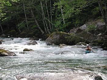 Taylor River (Washington) wwwamericanwhitewaterorgphotosarchivemedium5