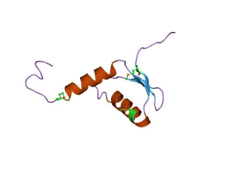 Tbf5 protein domain