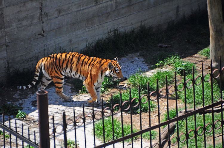 Tbilisi Zoo