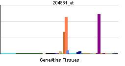 TCF21 (gene)
