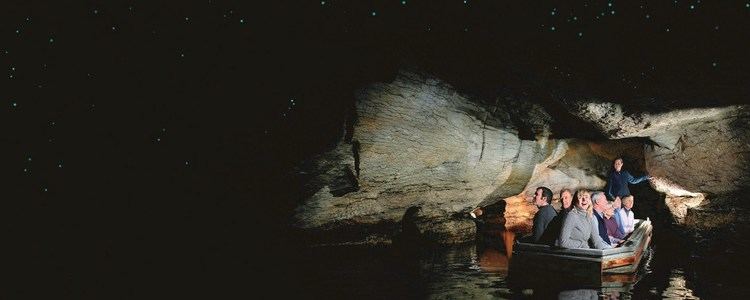 Te Ana-au Caves Te Anau Glowworm Caves Explore Te Anau39s unique glowworm caves