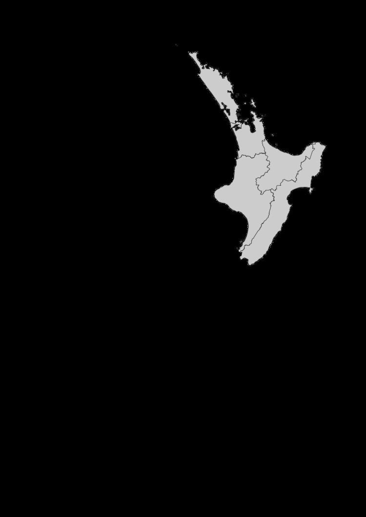 Te Tai Tonga