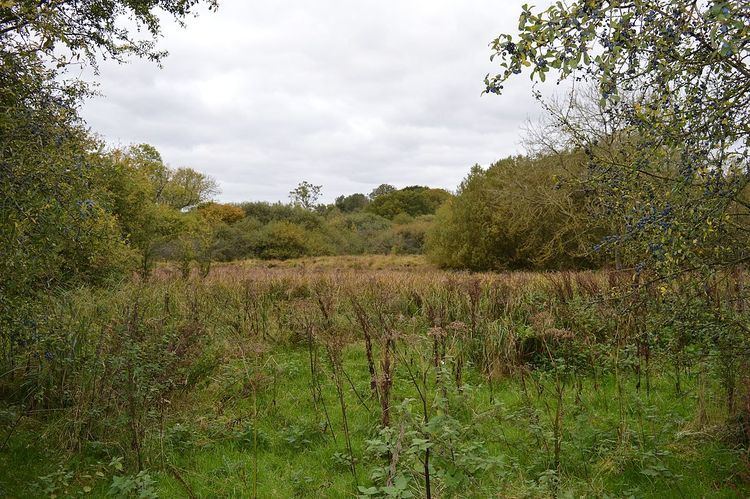 Tebworth Marsh