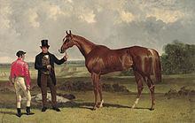 Teddington (horse) httpsuploadwikimediaorgwikipediacommonsthu