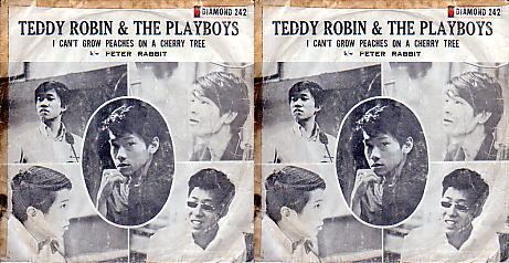 Teddy Robin TEDDY ROBIN amp THE PLAYBOYS