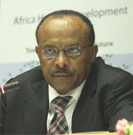 Tegegnework Gettu Ban Ki Moon appoints Ethiopian chief for General Assembly