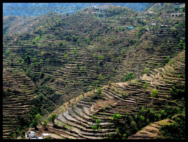 Tehri in the past, History of Tehri