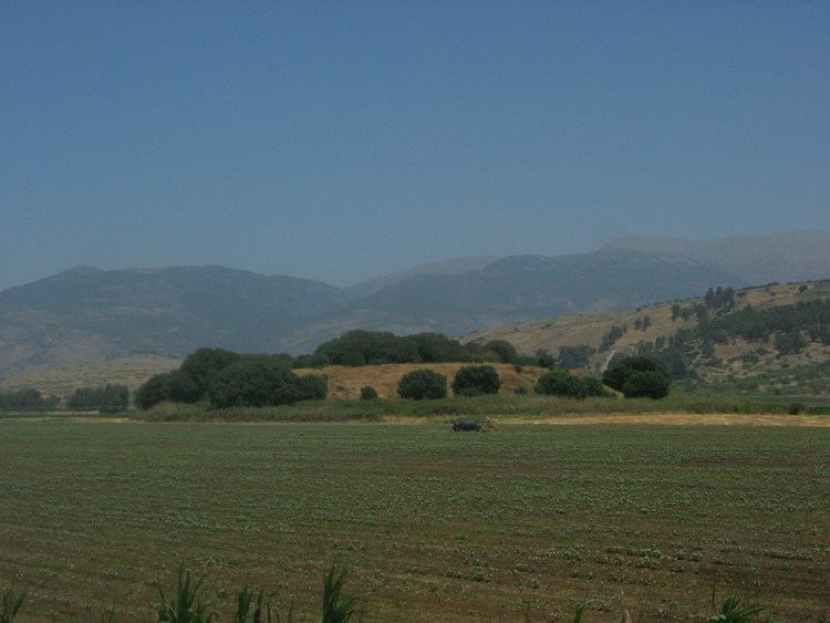 Tel Anafa