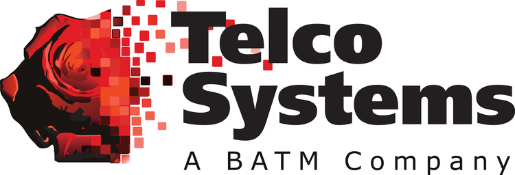 Telco Systems wwwtelcocomindexphppagedownloadampfileS43ampref
