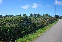 Telegraph, Isles of Scilly httpsuploadwikimediaorgwikipediacommonsthu