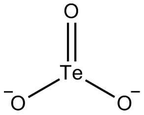 Tellurite (ion) httpsuploadwikimediaorgwikipediacommons66