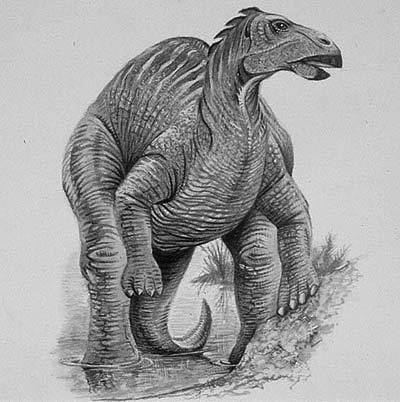 Telmatosaurus wwwnhmacukresourcesnatureonlinelifedinosau