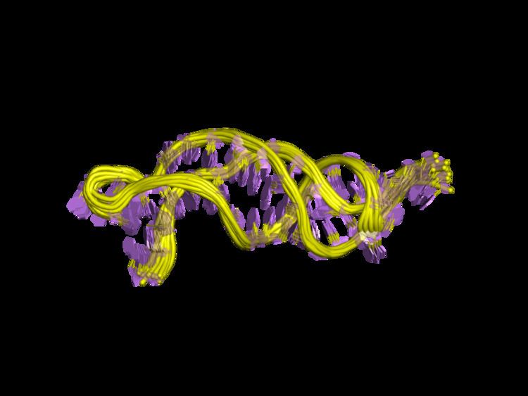 Telomerase RNA component