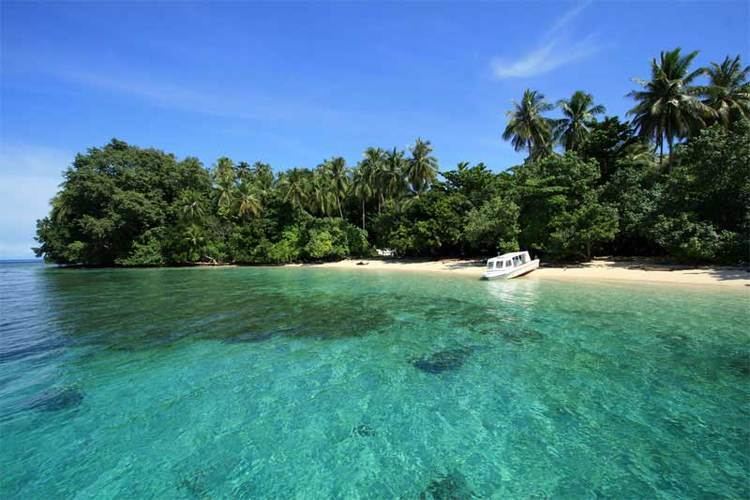 Teluk Cenderawasih National Park wwwindonesiatravelingguidecomwpcontentuploads