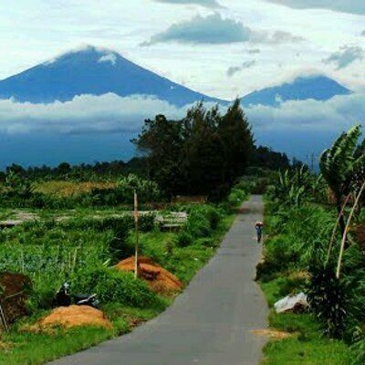 Temanggung Regency httpspbstwimgcomprofileimages4540508364405