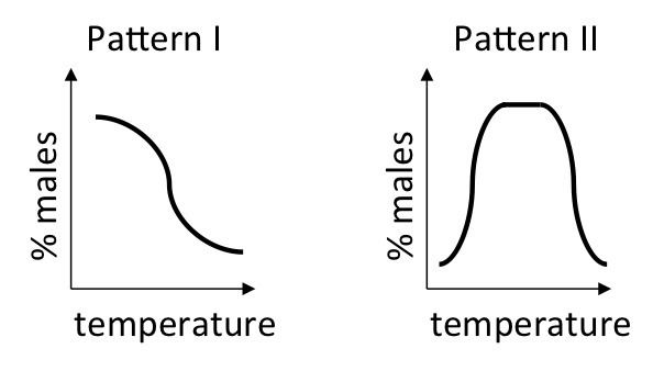 Temperature-dependent sex determination
