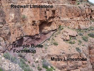 Temple Butte Limestone httpsuploadwikimediaorgwikipediacommonsthu