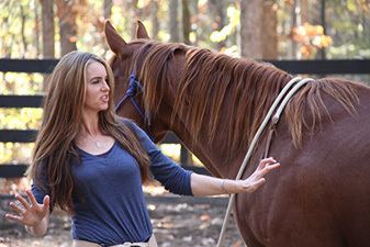 Templeton Thompson 7 Clinics with Buck Brannaman On Location Photos