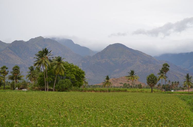 Tenkasi Beautiful Landscapes of Tenkasi