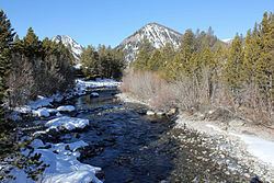 Tenmile Creek (Colorado) httpsuploadwikimediaorgwikipediacommonsthu