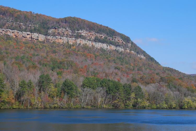 Tennessee River Gorge nickajacknaturalisttypepadcoma6a011168629e3e