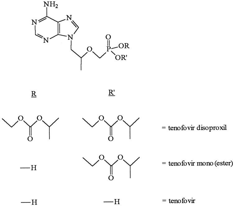 Tenofovir disoproxil Increased Absorption of the Antiviral Ester Prodrug Tenofovir
