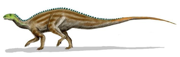 Tenontosaurus Tenontosaurus Sauropedia