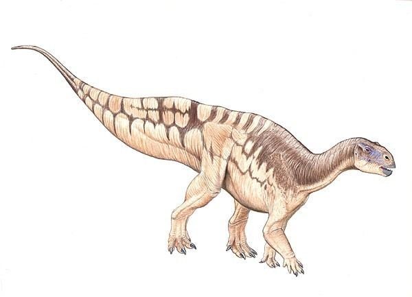 Ceryneian Hind 2/3 REBOR Tenontosaurus Tilletti Corpse 
