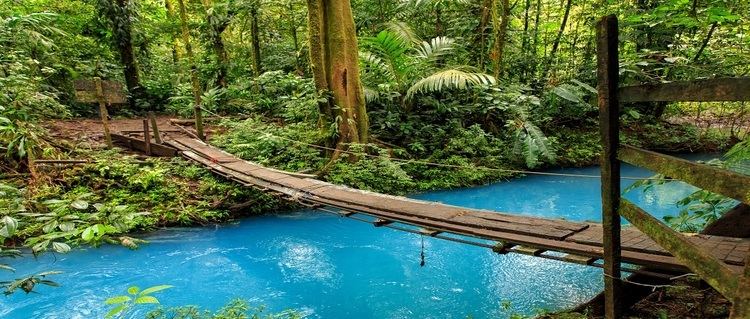 Tenorio Volcano National Park Only for hiking lovers Volcan Tenorio National Park