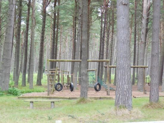 Tentsmuir Forest Crepe Shack in Tentsmuir Forest Picture of Tentsmuir Forest