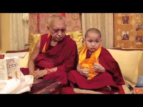 Tenzin Phuntsok Rinpoche Lama Zopa Rinpoche and Tenzin Phuntsok Rinpoche in Kopan YouTube