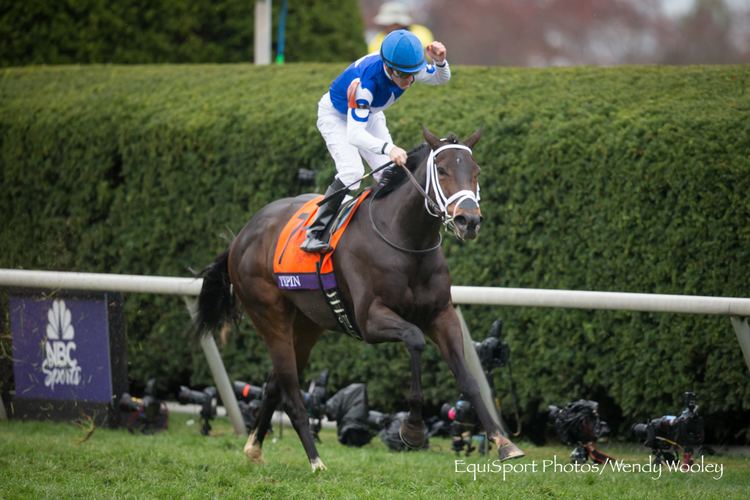 Tepin (horse) Tepin Leaves Boys In The Dust To Win Mile Horse Racing News