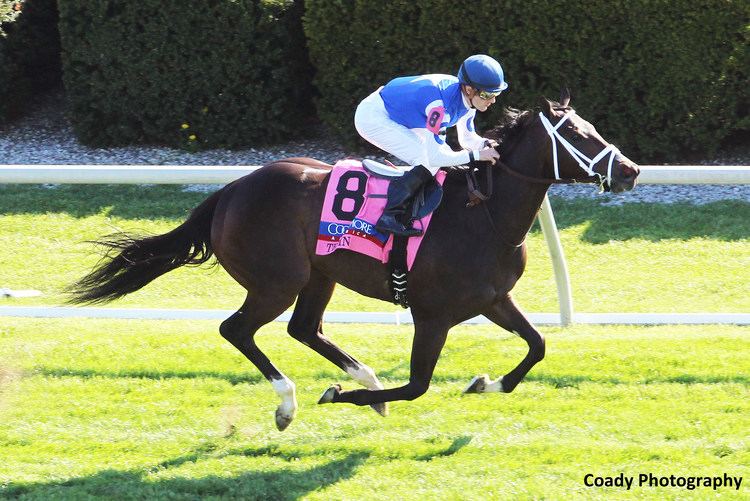 Tepin (horse) Tepin Gallops To New Stakes Record In Coolmore Jenny Wiley Horse