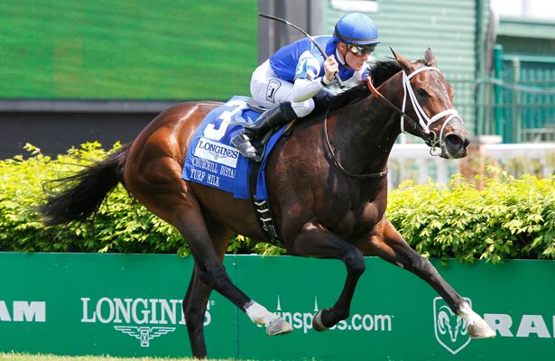 Tepin (horse) Tepin to Take On Males in BC Mile Horse Racing Nation