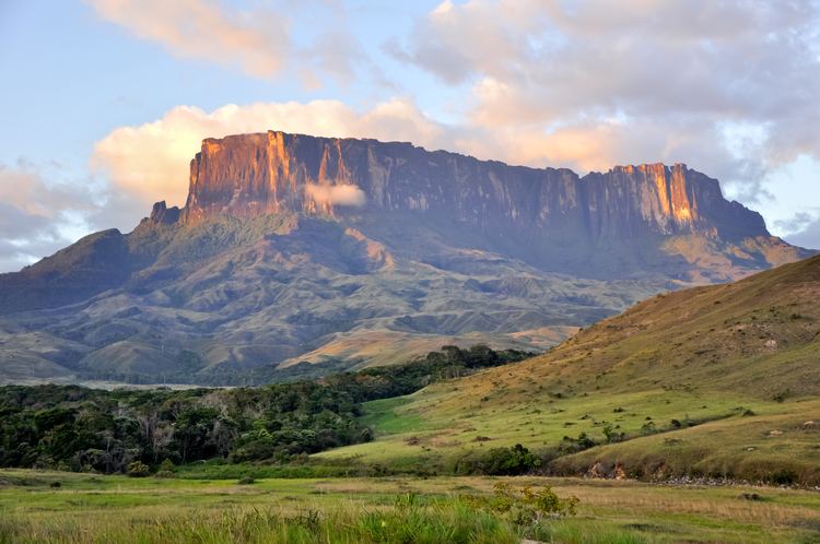 Tepui httpsuploadwikimediaorgwikipediacommonsff