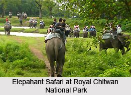 Terai-Duar savanna and grasslands Duar Savanna and Grasslands in India