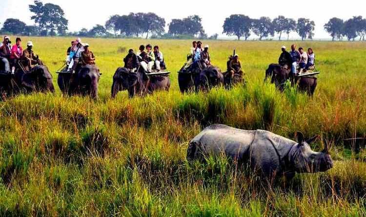 Terai-Duar savanna and grasslands India Asia Grasslands Resort