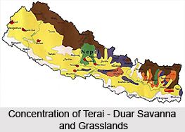 Terai-Duar savanna and grasslands Duar Savanna and Grasslands in India