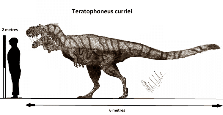 Teratophoneus Teratophoneus curriei by Teratophoneus on DeviantArt